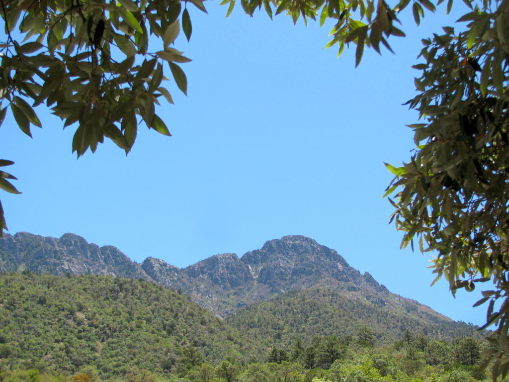 Mount Wrightson - 9,453 feet